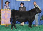 Heidi has had an impressive show career being named the Champion Balancer Female at the American Royal, Iowa State Fair, Kentucky State Fair and Reserve Balancer Female at the North American.