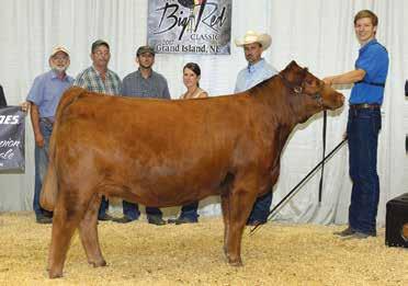 Junior National. Heifers of this caliber will once again be offered. Offspring of the same cow family will be represented in the pick.