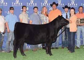 The buyer will have the opportunity to choose from more than 125 Gelbvieh and Balancer calves born between January, 20,