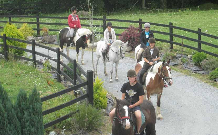 5.6 Riding clubs From data provided by the Association of Irish Riding Clubs (AIRC), it was established that in 2016 there were 121 riding clubs with an estimated 3,233 members.