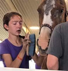 HORSE/EQUINE - Horseless 173 Horseless Horse Age 8 to 18 Required Project & Record Book: 173 Horseless Horse or any other 4-H Horse Book enrolled as a Horseless Horse Member.