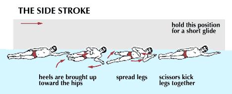 #6 - Required Strokes: Any two of the three listed strokes must be performed in the routine. The strokes may appear in any order and at any point in the routine.