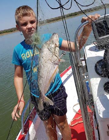 Recently, Eco-Care Trust did a follow-up removal of gill nets and a fish species count at Vaalkop Dam.