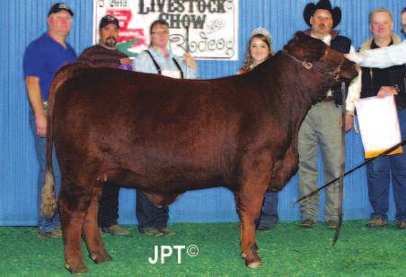 003 Selling Six (6) Embryos Miss JHR 412/4 x CX Payloads Meathouse 930/U Miss JHR 412/4, a proven donor, with her CX Payloads Meathouse 412/Z heifer winning Reserve Grand Champion at the Brangus Show