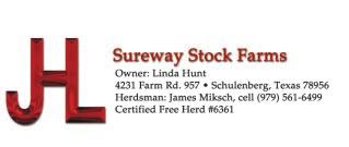 LOT 1 Sureway s Red Jack Mr 213L RR#: 602767 Calved: 12/30/00 Red Brangus 3/8 x 5/8 Gen: 2nd Herd ID: 213L Herd Bull GLC Idaho Jack 644/A Oak Creek