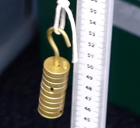 ) 250ml beaker, small G Clamp, fine string to make a hook for the mass metre stick 1.