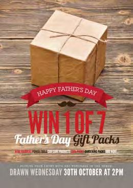 !! A B C STEP TWO SELECT YOUR CAMPAIGN Small Father s Day (6 Prize Giveaway) CODE: V34-04 1 x Handy Man / Tool Pack $125 1 x Boutique Brewery Beer Pack $80 1 x Food & Wine $60 1 x Car Care