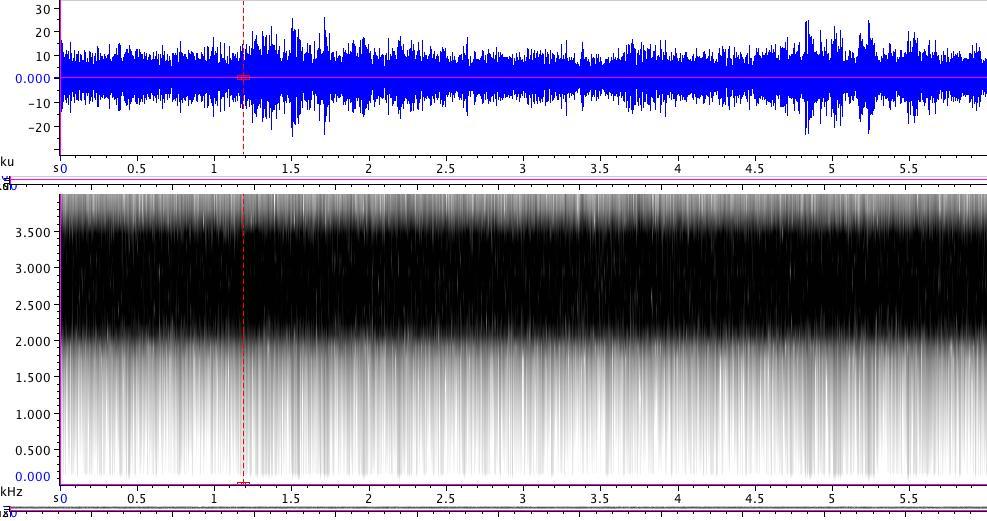 Call five This is representative of call five. We can see a repeated call three to four times per seconds. The frequency can be found between 2,000-3,500 Hz. One call can be seen between 1.