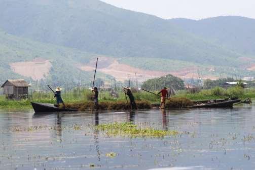 (Myanmar) Floating islands
