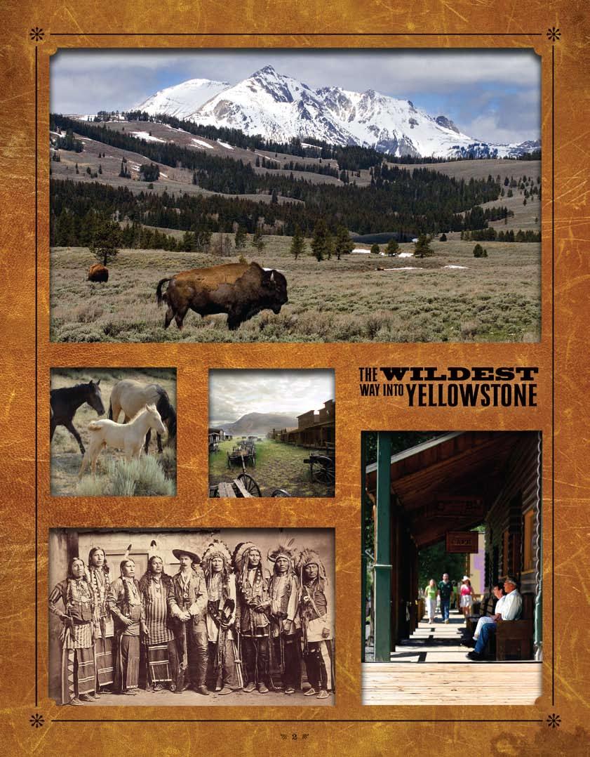 EXPERIENCE BISON IN YELLOWSTONE WATCH WILD HORSES RUN FREE TAKE IN OLD TRAIL TOWN,