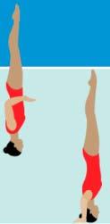 Vertical Position Body extended, perpendicular to the surface, legs together, head downward.