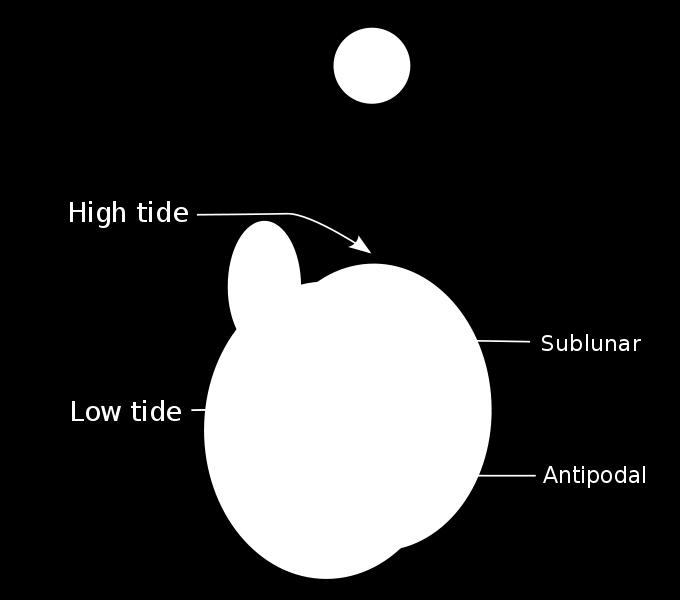 Introduction to Tide Tides are very long-period waves that move through the oceans in response to forces exerted by the moon and sun Gravitational forces of the moon and sun create areas of high and