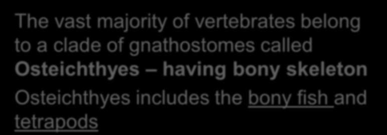 Fig. 34-UN6 The vast majority of vertebrates belong to a clade of gnathostomes called Osteichthyes having bony skeleton Cephalochordata Urochordata