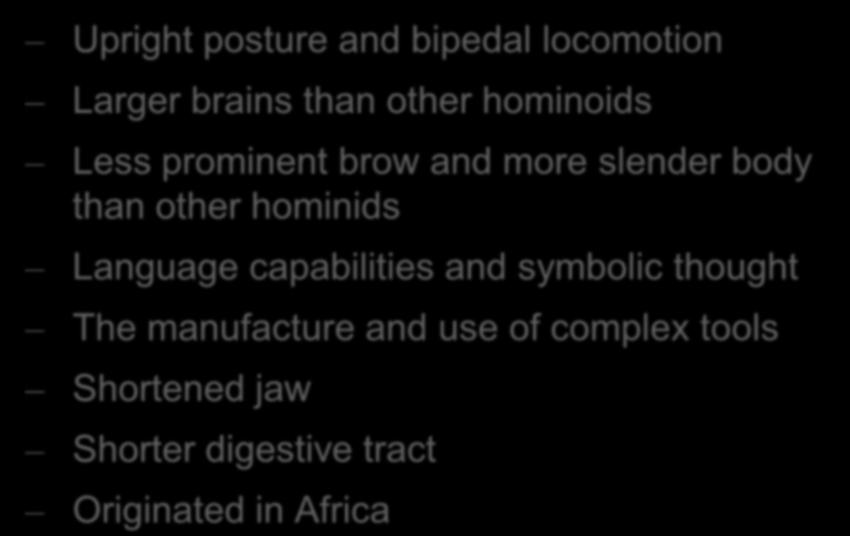 Derived Characters of Humans Upright posture and bipedal locomotion Larger brains than other hominoids Less prominent brow and more slender body than other hominids Language capabilities and
