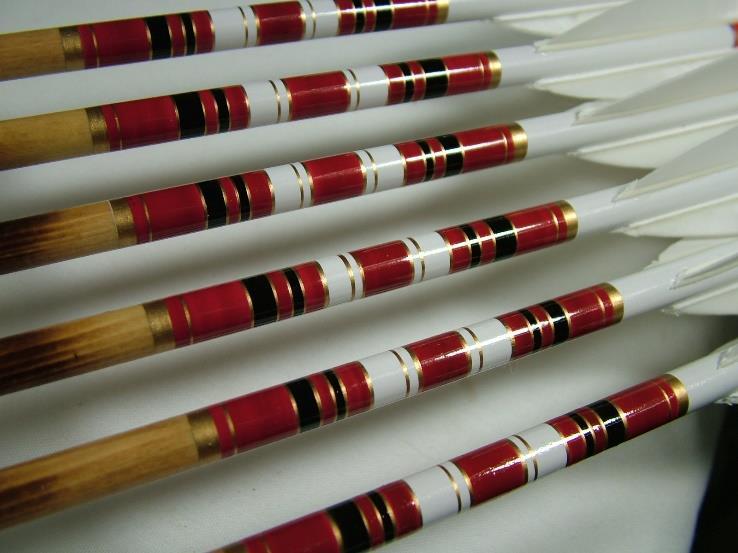 This picture below shows what a typical traditional arrow might look like.