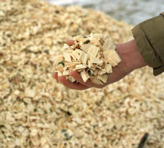 What is Biomass?