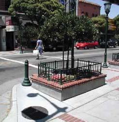 PLANTERS: RAISED PURPOSE Planters add life, color, texture, and interest to a streetscape and can help defi ne and separate spaces.