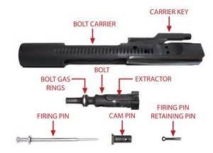 The Echo Trigger comes standard with a stripped bolt carrier.