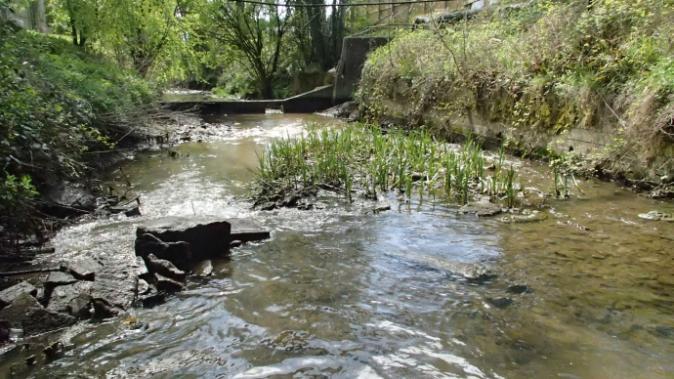 For more information on the River Cale project, please contact Jim Allan (Fisheries, Biodiversity & Geomorphology) on Email: james.allan@environment-agency.gov.uk or Tel: 01258 483405.