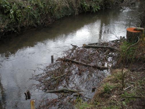 The improvement to the River Cale following removal of a weir hatch in Wincanton Wellow Brook restoration We have helped fund a partnership project on the Wellow Brook in Midsomer Norton with the