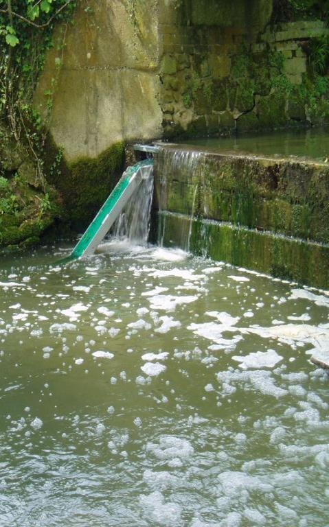 catchment, and Pallingham Weir on the Arun. Clappers and Redbridge were installed in partnership with the Ouse and Adur Rivers Trust (OART) opening up 3.