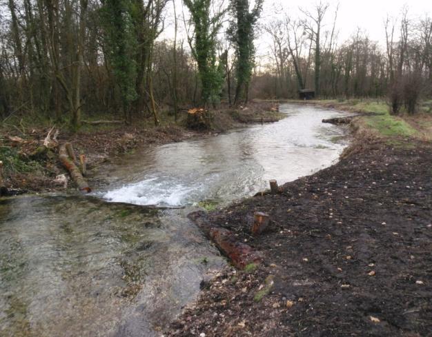 Over two km of river will have been improved by the use of woody debris, the creation of meanders, tree removal, re-profiling of banks and structure