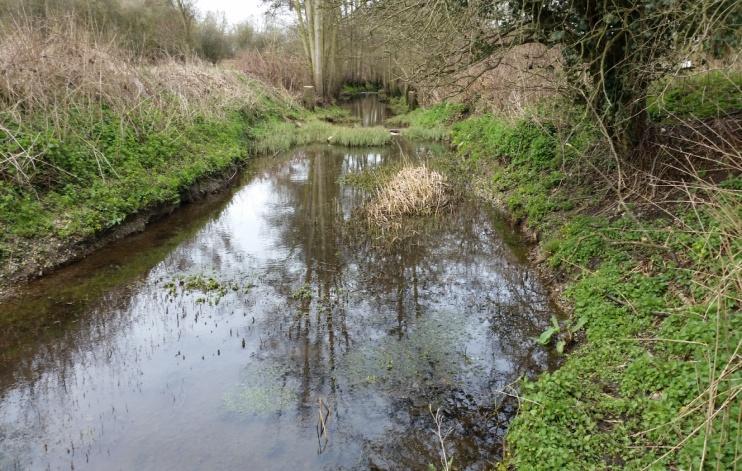 Road. Data from the survey is used to classify the waterbody Colne (upper east arm including Mimshall Brook). As the name suggests land surrounding the river channel is predominantly heath land.