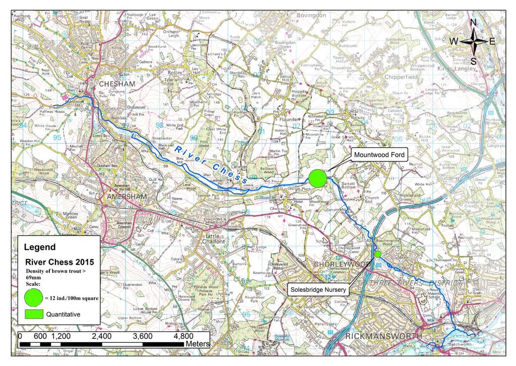 River Chess Catchment overview The River Chess is a chalk stream tributary of the River Colne and rises in the town of Chesham.