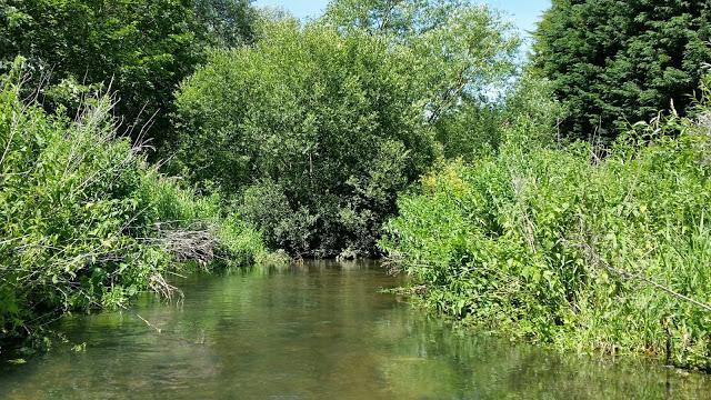 River Lee Catchment overview The River Lee is a chalk stream rising as springs at Waulds Bank, north-west Luton, from where it flows south-easterly through the conurbations of Harpenden,