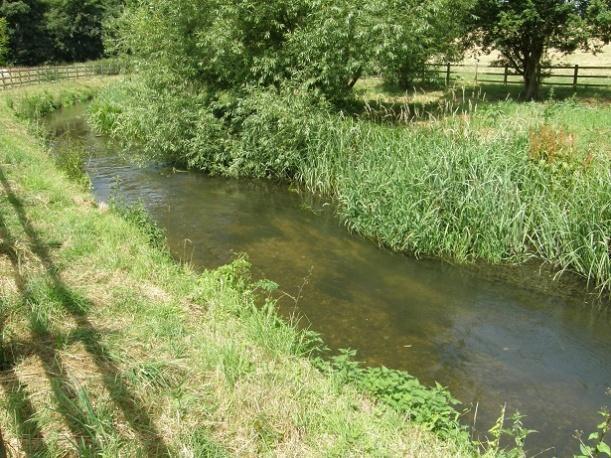 As the river enters Hertford, from Hertford Castle Weir it is altered dramatically, both morphologically and hydrologically, into a watercourse distinct from its upper reaches.