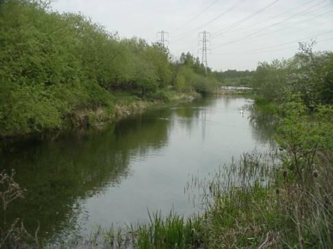 Water Framework Directive survey results 15 The two WFD surveys at Dobbs Weir and Powder Mill Cut were carried out in order to provide classification data for the waterbody Lea Navigation (Fieldes