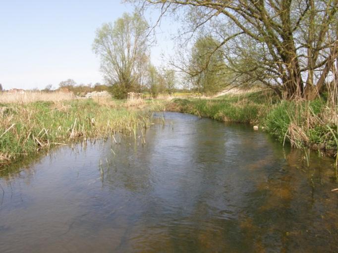 In the upper to middle reaches of the catchment as the river passes the villages of Fyfield, High Ongar and Abridge, surrounding land use consists almost entirely of agricultural