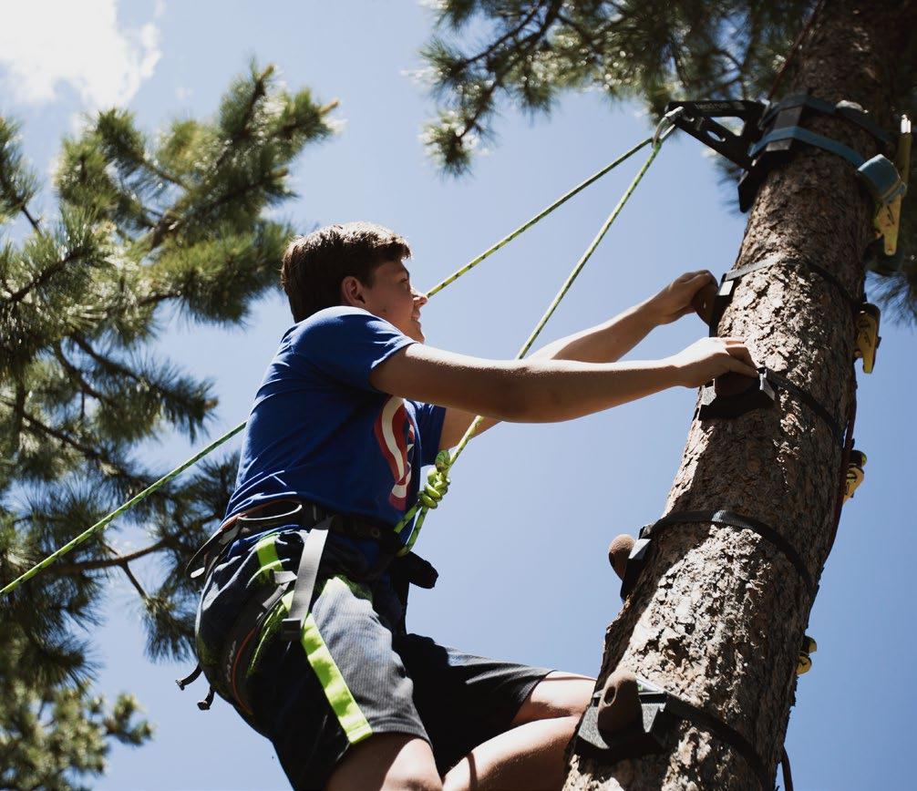 ARBOREAL CLIMBING SYSTEM Create a climbing adventure that is cost-effective, easy to change, & fits in a very small footprint using trees, poles, or columns.
