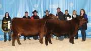 this uniquely created herd Jensen genetics have made significant impacts upon countless breeding