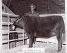 offer information on the breed. These breeders were David Glaister, Mike Rogers, David Wildman and Earl Watson with Valley Cattle Co.