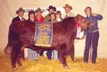 there was interest in uniting the Red and Black Angus into one Herdbook in Canada.