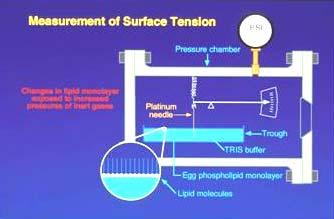 Figure 5. Equipment for measuring changes in surface tension on a phospholipid monolayer exposed to various gases at raised pressure (16).