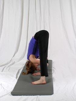 Preparation Postures for Standing Turtle (Uttana Koormasana) Standing Straddle Forward Fold (Prasarita Padottanasana) Stand with your legs about 3 ½ to 4 feet apart with feet parallel (not turned