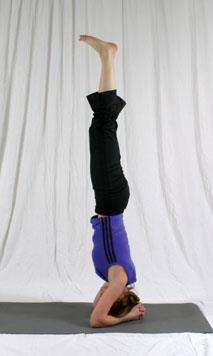 Preparatory Postures: Practice the following postures first