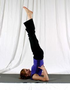 Keep elbows in close to body Lift right leg up towards ceiling, then