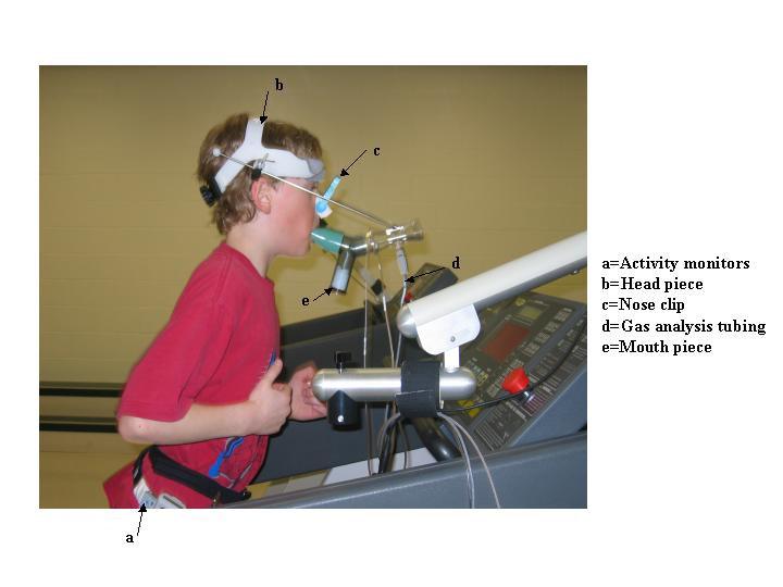 Figure 2.6 Testing apparatus to measure oxygen consumption and energy expenditure during treadmill activity protocol (photo: Michelle Stone).