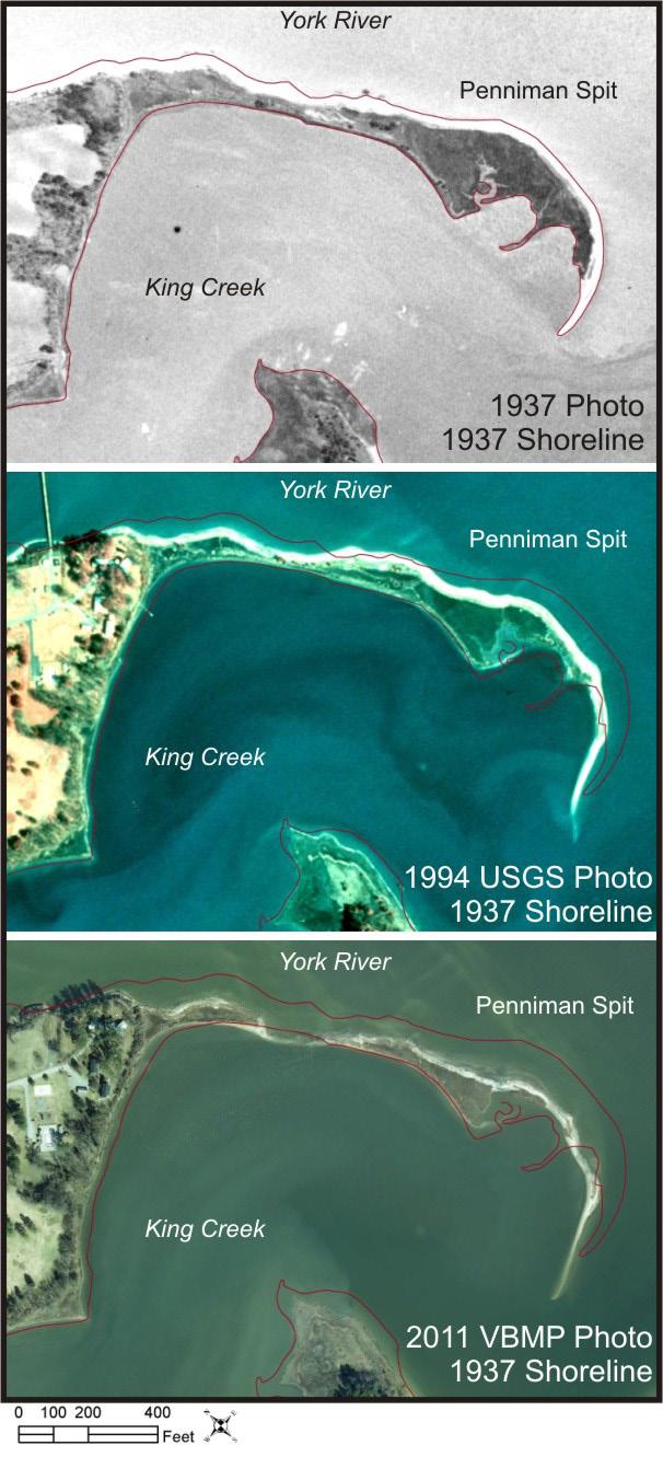 1937 and 1994, the spit stayed relatively the same length but narrowed by almost 100 feet in some areas.