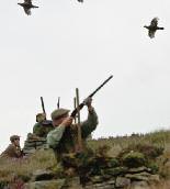 WE CAN SIMULATE GROUSE Grouse is the fastest game bird in England