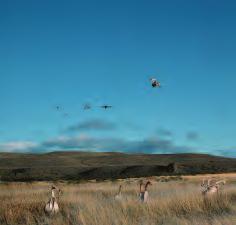 if you Enjoy your shooting as much as we do, you will want to be in top form when you Go HuntinG Using one of our Huntsman Simulated Game Trailers will ensure that you are at your peak as you fire