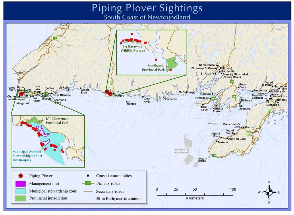 Figure 34: Piping Plover sighting along the South Coast of Newfoundland. Data from Atlantic Canada Conservation Data Centre, P.O.