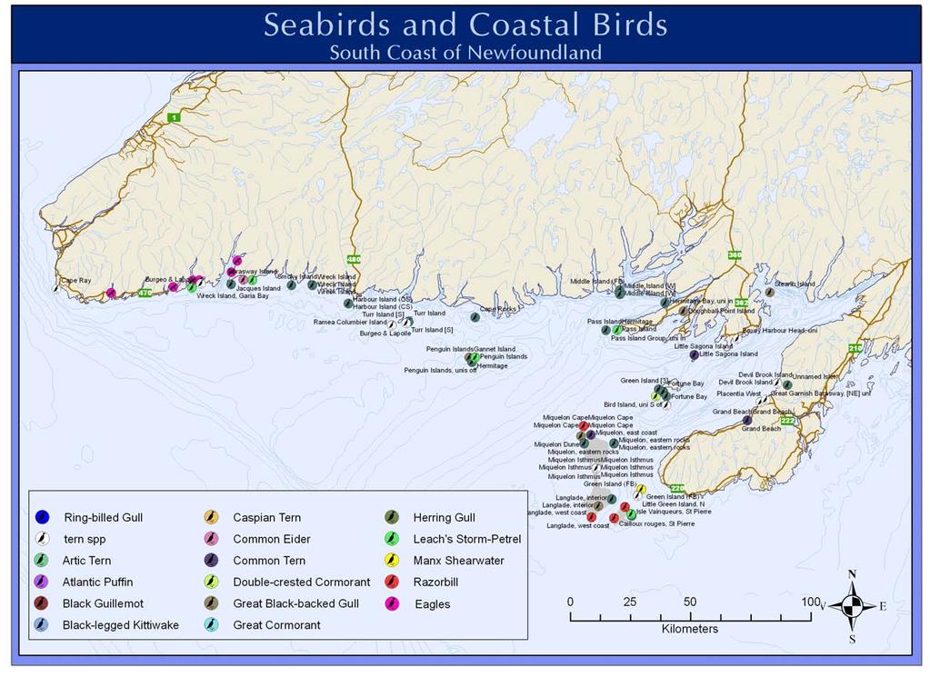 Figure 36. Seabirds and Coastal Birds along the South Coast of Newfoundland.