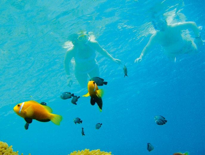 VELAA MARINE CENTRE Explore the whole new world and the beauty of our reefs. Welcoming by the friendliest Maldivian Marine life beneath the blue turquoise water.