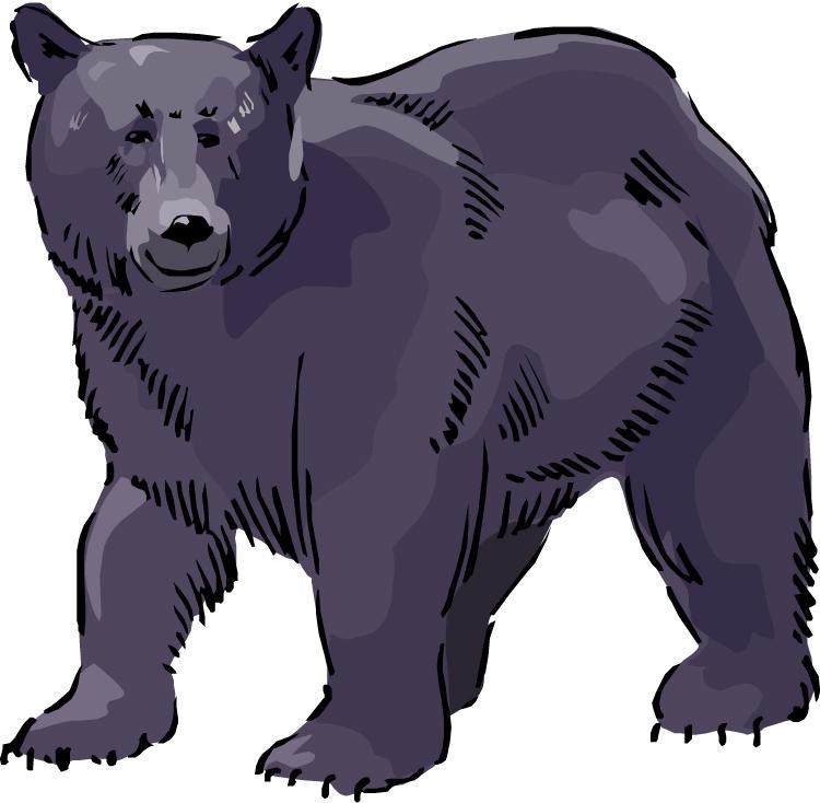 Date Grade Bears Are Nocturnal Cyber Starter There are many species of bears. Do you know how many there are? Do you know where they live? Should we be afraid of them?