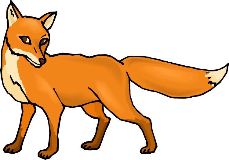 Date Grade Foxes Are Nocturnal Cyber Starter Sometimes we see foxes during the daytime.