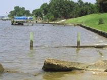 How to Start and Maintain an Oyster Garden Step One: Evaluate the Site Will your site support growth?